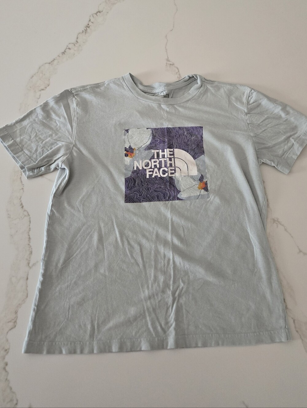 The North Face Light Blue Logo Graphic Tee